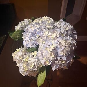 MAKE A REASONABLE OFFER!!!🌺😁